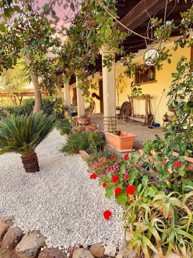 Agriturismo Da Lino Agripizza Villa Samugheo ภายนอก รูปภาพ