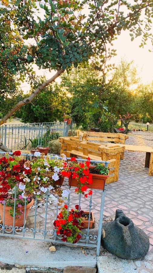 Agriturismo Da Lino Agripizza Villa Samugheo ภายนอก รูปภาพ